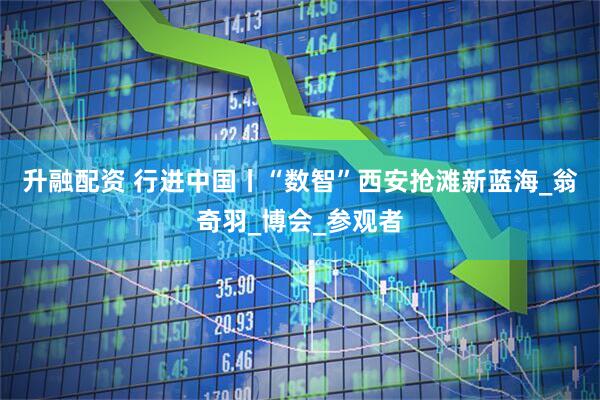 升融配资 行进中国丨“数智”西安抢滩新蓝海_翁奇羽_博会_参观者