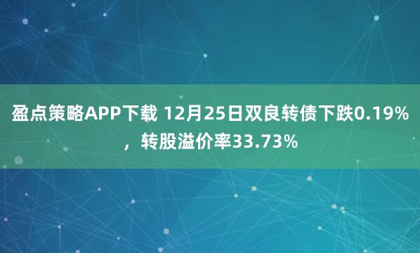 盈点策略APP下载 12月25日双良转债下跌0.19%，转股溢价率33.73%