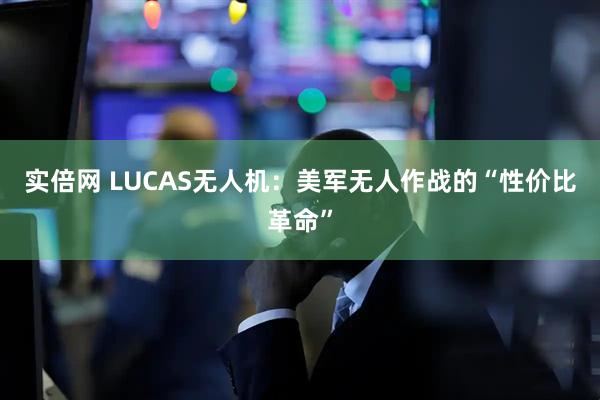 实倍网 LUCAS无人机：美军无人作战的“性价比革命”